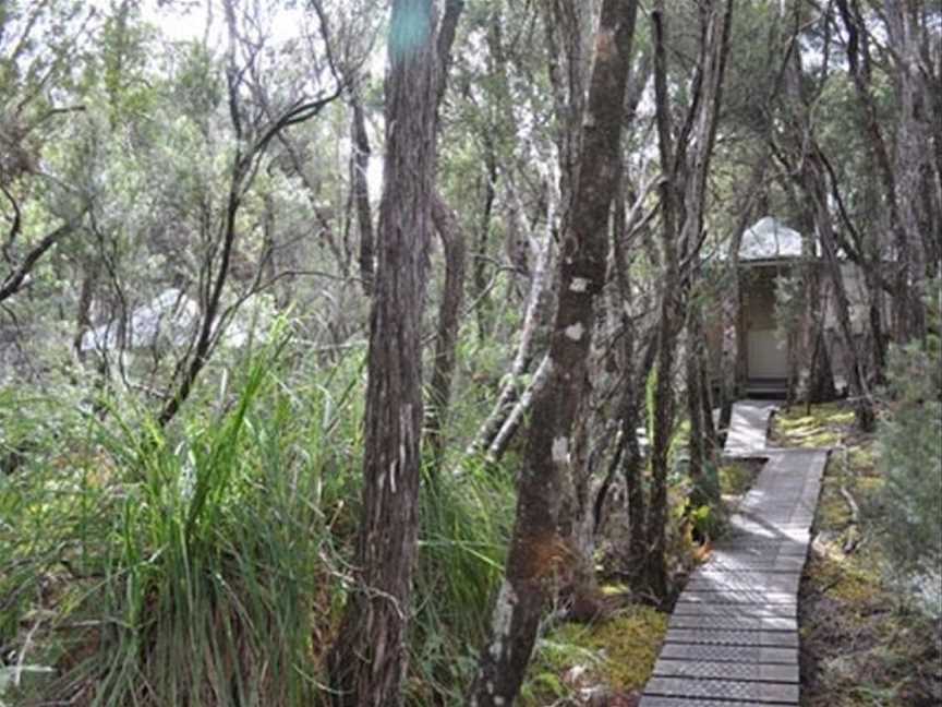 Southwest Wilderness Camp - Tasmania, Accommodation in Cambridge