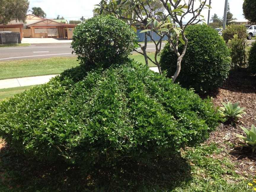 Salerno On The Beach, Marcoola, QLD