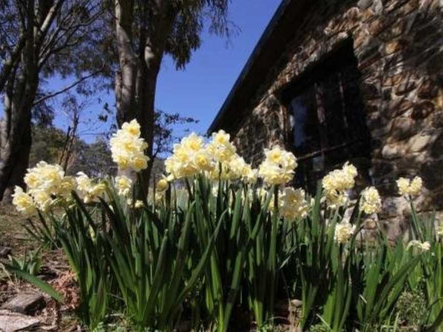 The Great House BnB, Buckland, TAS