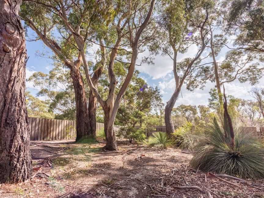 Bush Hideaway by the beach, Binalong Bay, TAS