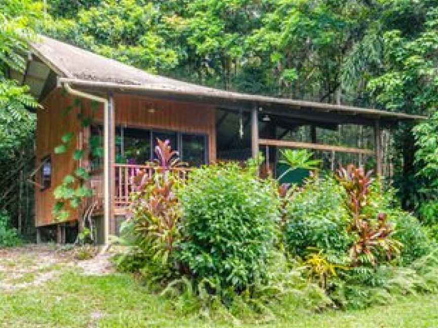 Epiphyte B & B, Cow Bay, QLD