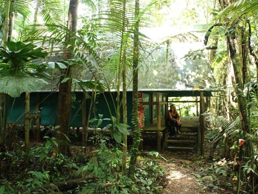 Daintree Crocodylus, Cow Bay, QLD