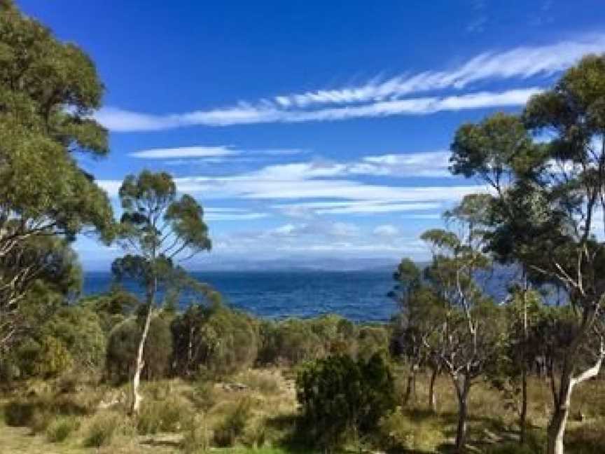 Te Kuiti Bruny Island Cottage, Alonnah, TAS