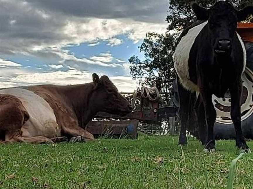 Straw House Farm B&B, Dalveen, QLD