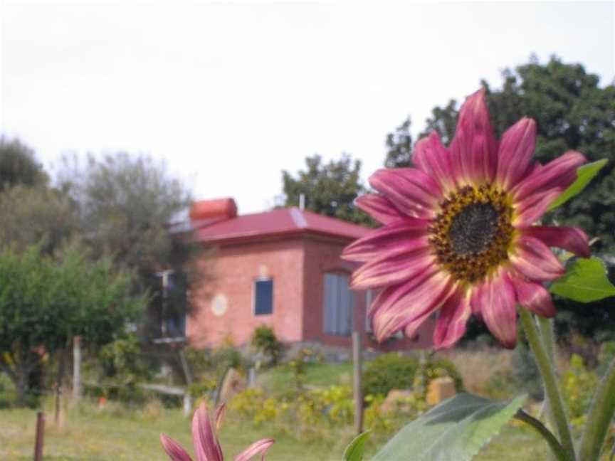 CHERRY TOP ACCOMMODATION, Underwood, TAS