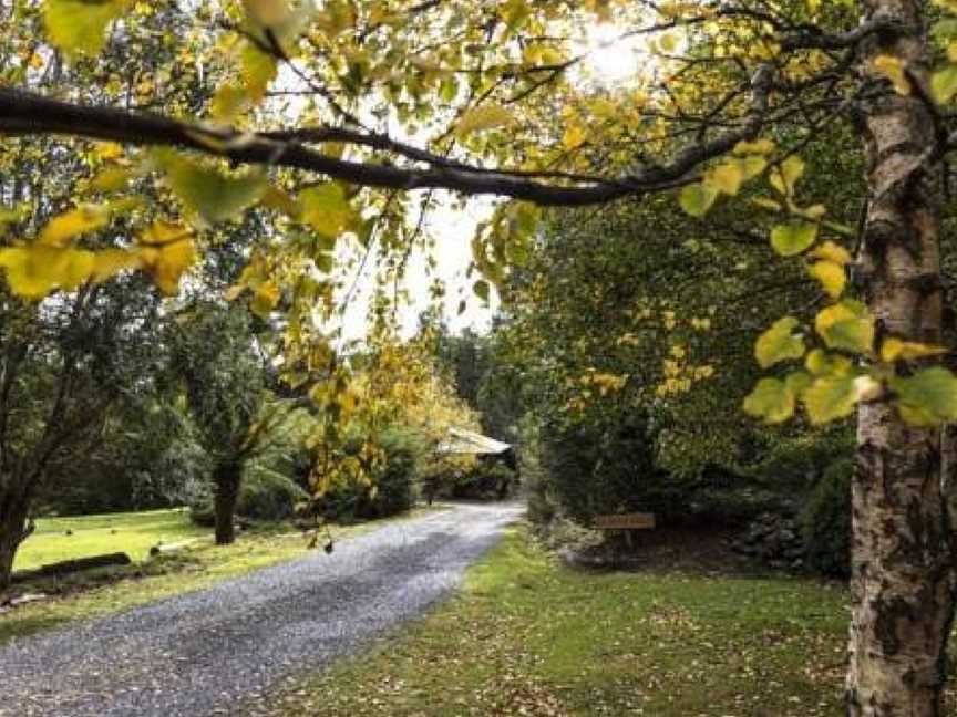 Cradle Alpine Retreat, Moina, TAS