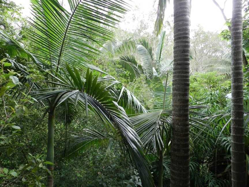 Oskar's Rain Forest Retreat, Nelly Bay, QLD