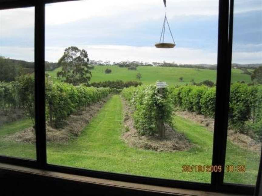 Pennyroyal Raspberry Farm & Cidery, Murroon, VIC