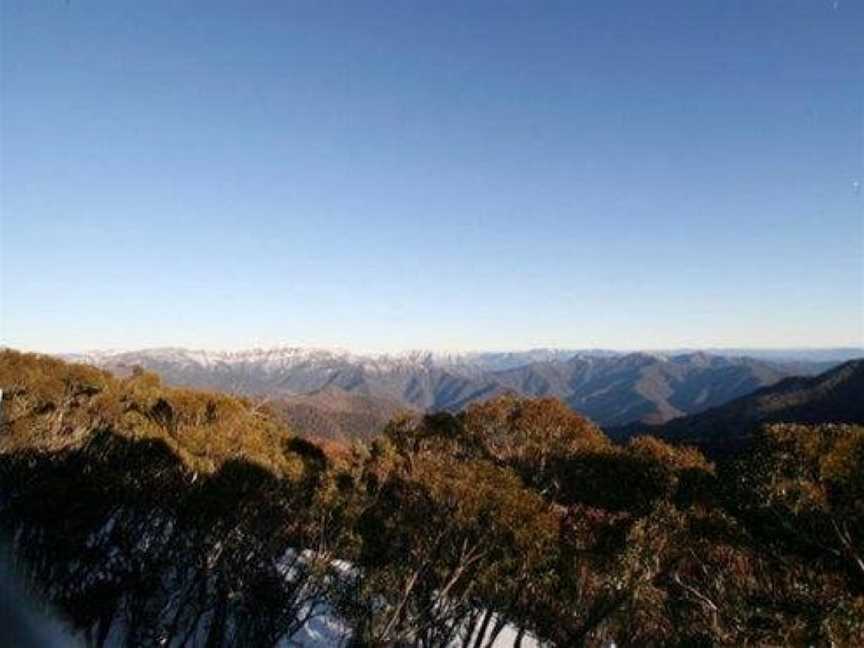 Elkhorn 7, Mount Buller, VIC