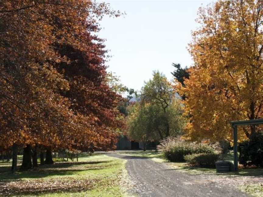 Glenlowren, Dixons Creek, VIC