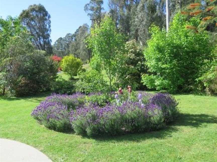 Amelina Cottages, Marysville, VIC