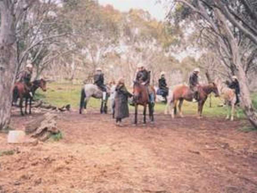 Currawong Lodge, Dinner Plain, VIC