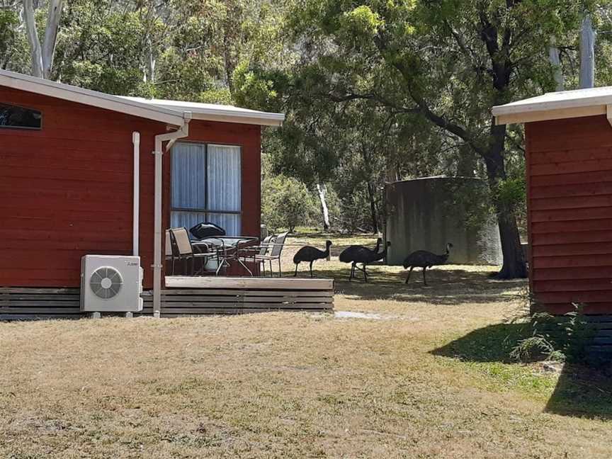 Wonderland Cottages, Halls Gap, VIC