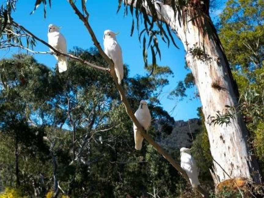 Country Lane Cottage, Halls Gap, VIC