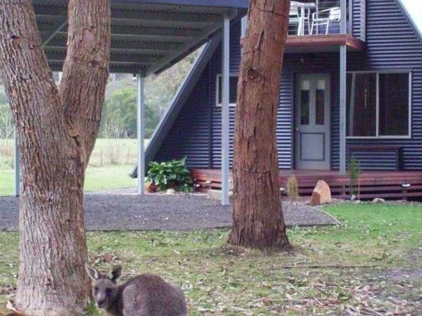 The A-Frame, Halls Gap, VIC