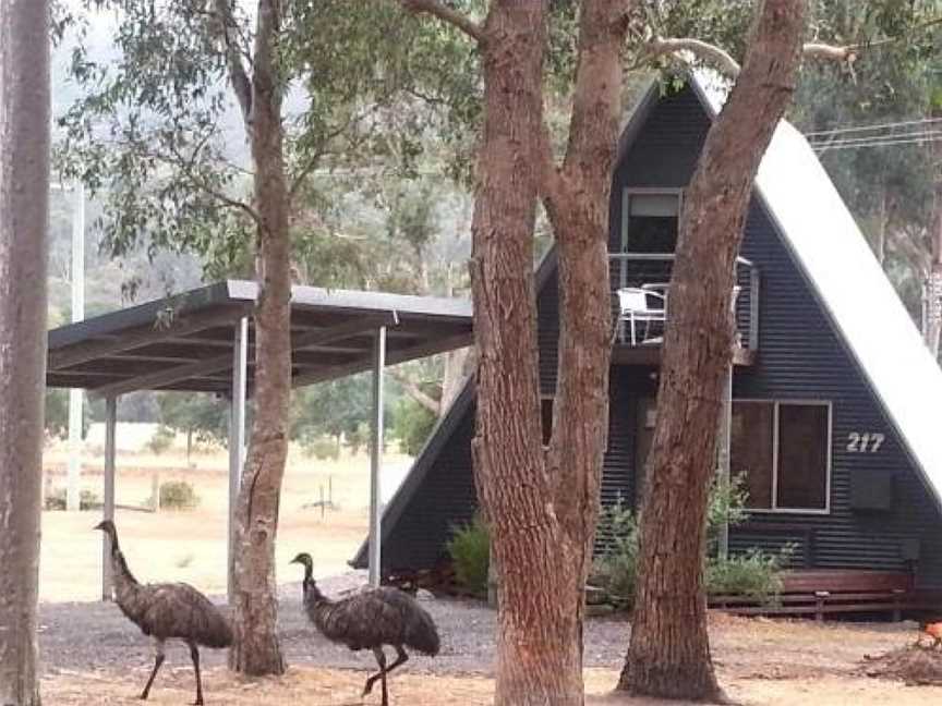 The A-Frame, Halls Gap, VIC