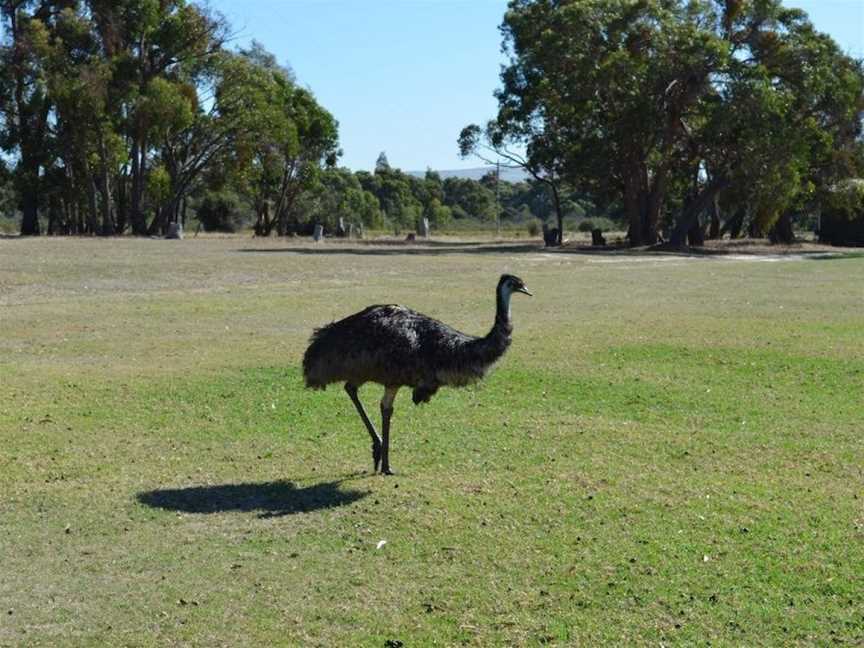 Mountain View Motor Inn & Holiday Lodges, Pomonal, VIC