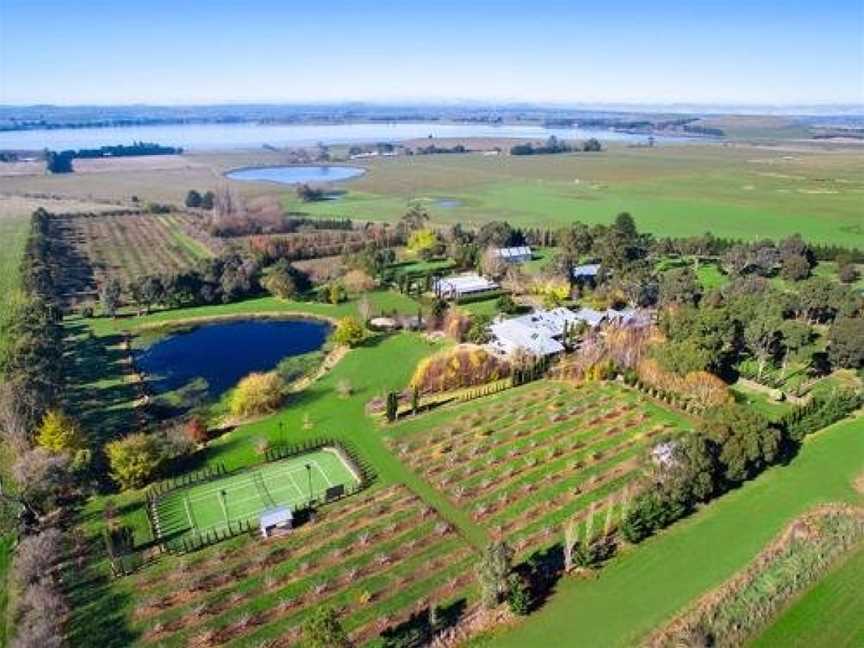 Orchards at Spring Vale Farm, Weatherboard, VIC