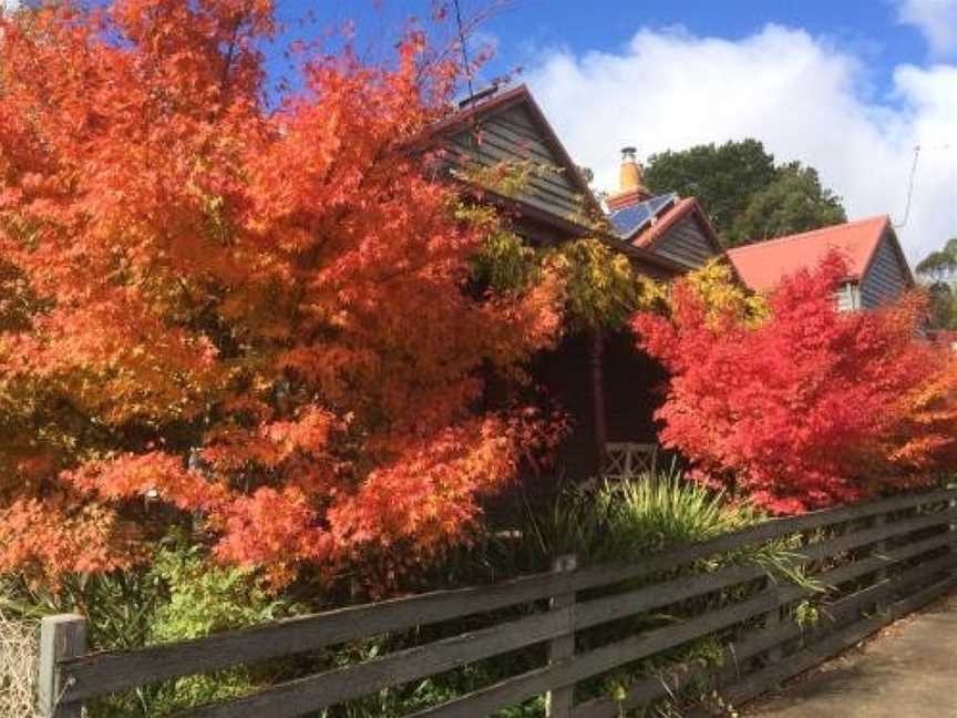 Chestnut Daylesford, Daylesford, VIC