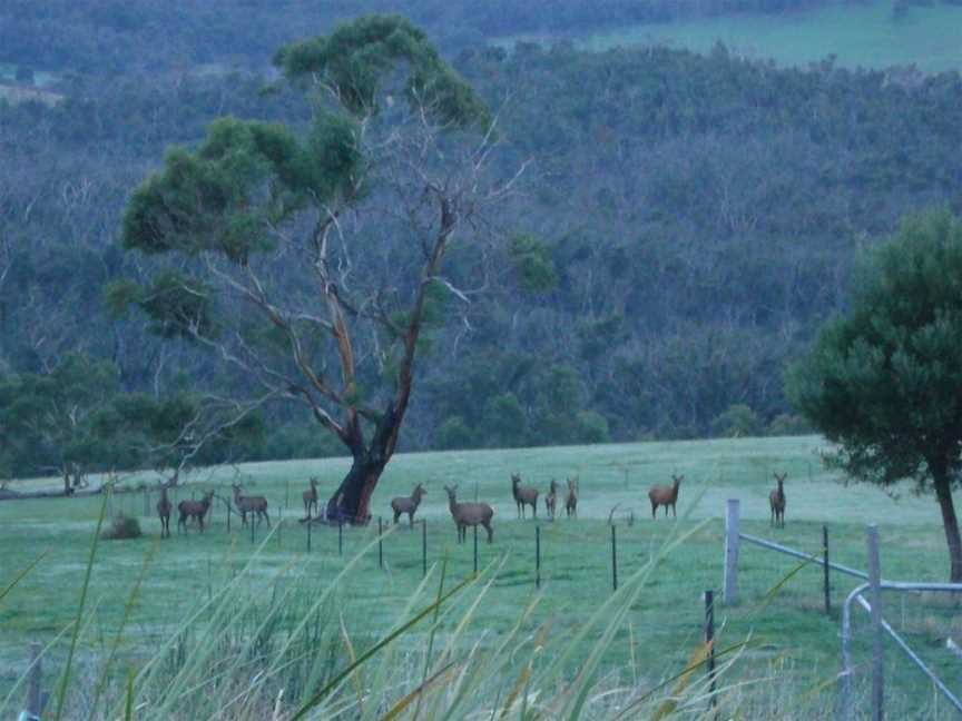 Hawksview at Mafeking, Mafeking, VIC