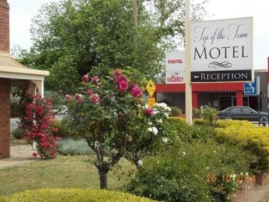 Top of the Town Motel, Benalla, VIC