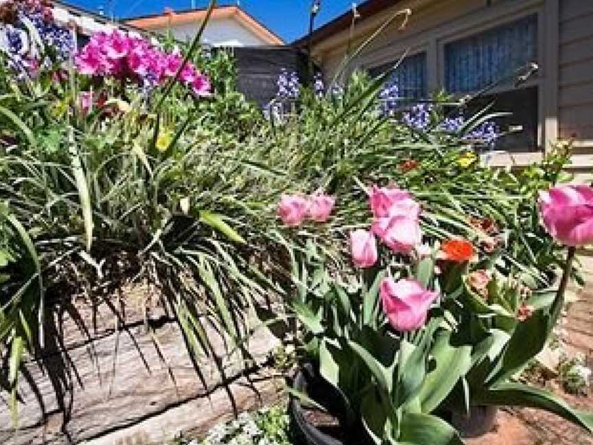 Ballarat Miners Cottages, Golden Point, VIC