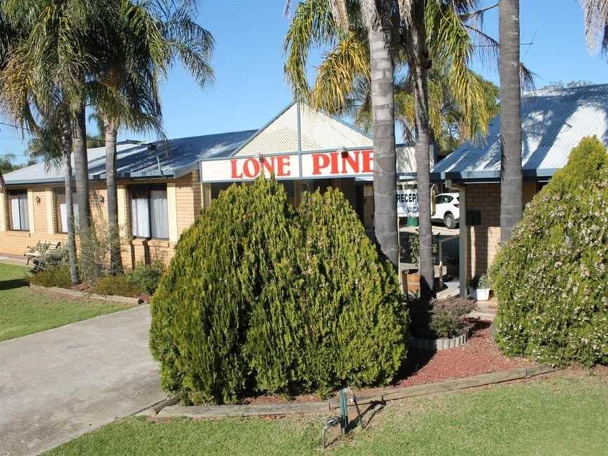 Lone Pine Motel, Corowa, VIC