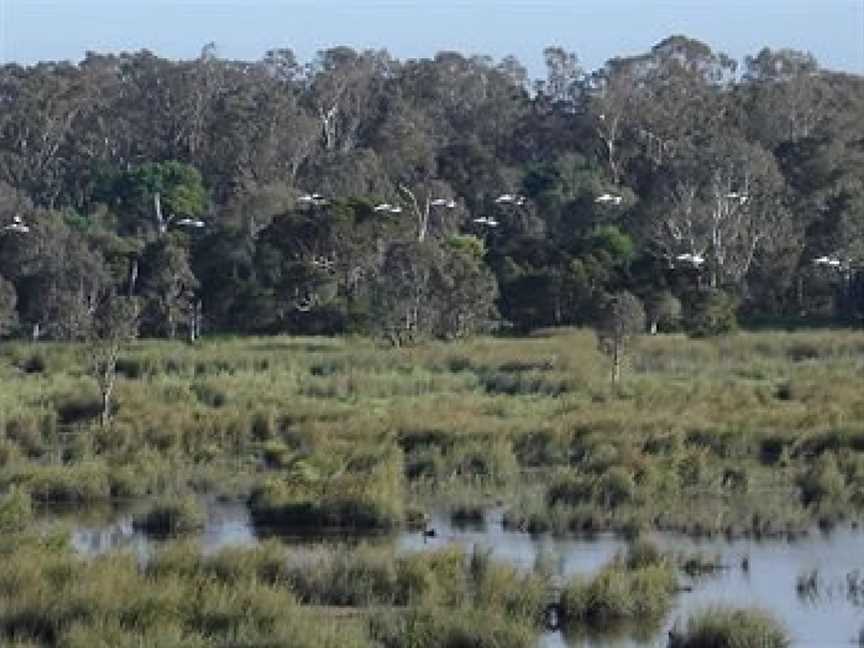 Frog Gully Cottages, Longford, VIC