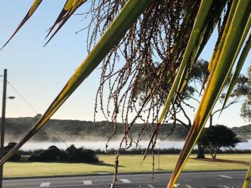 Exclusive Anglesea River Beach Apartment, Anglesea, VIC