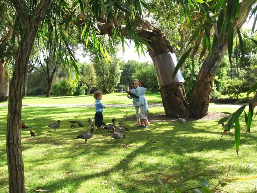 Kennett River Holiday Park, Kennett River, VIC