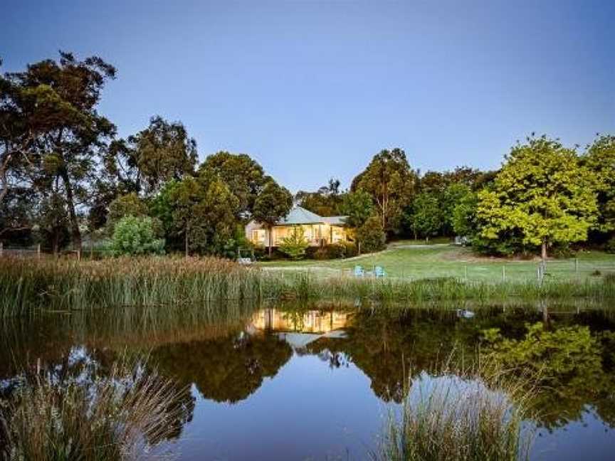 Raynella Alpaca Farmstay, Gruyere, VIC