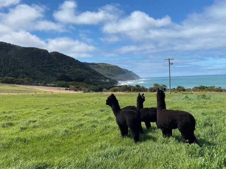 Seacroft Estate, Sugarloaf, VIC