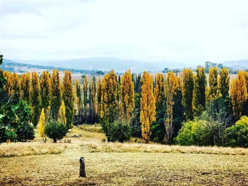 Mutton Falls, Tarana, NSW