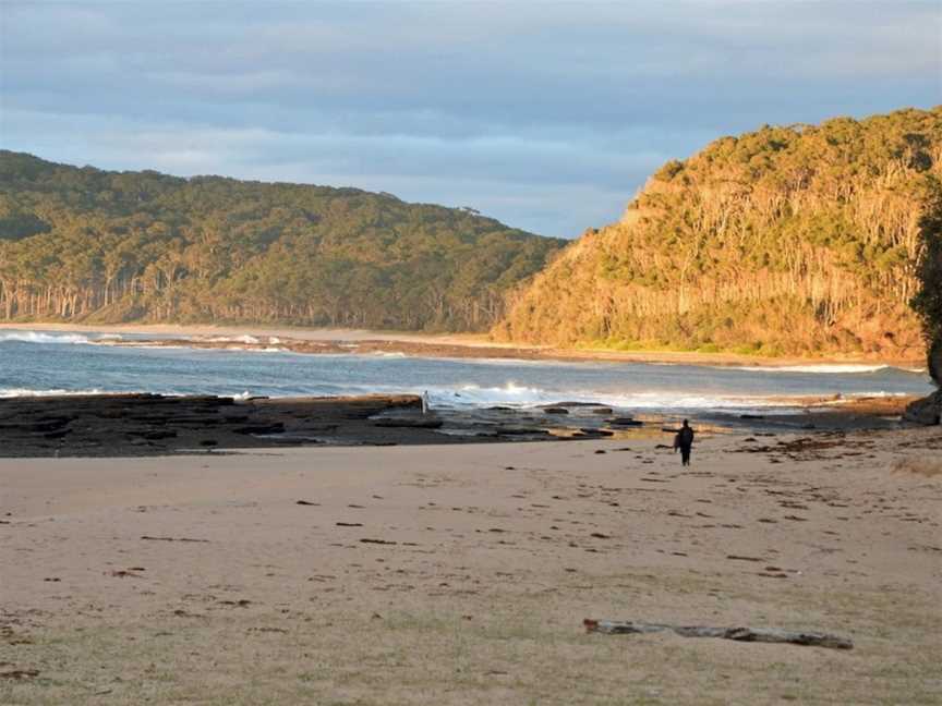 Pebbly Beach Shacks, East Lynne, NSW