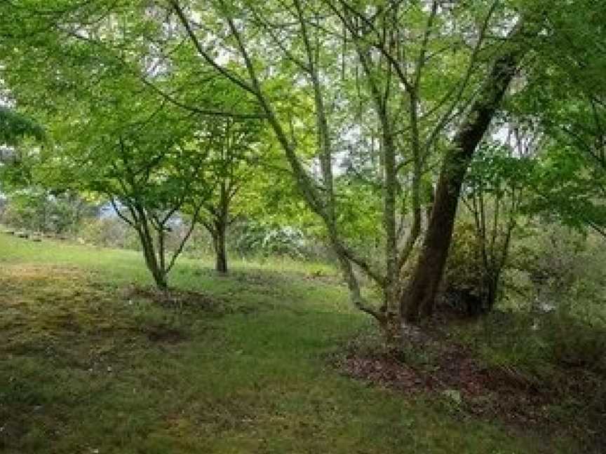 Kanimbla Mist, Mount Victoria, NSW