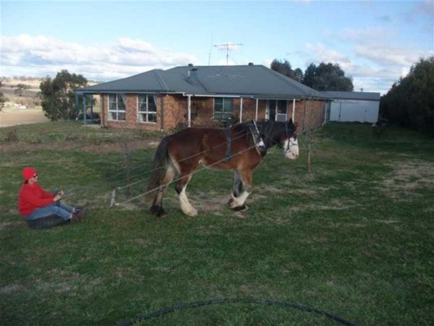 Barcoo's Barn, Perthville, NSW