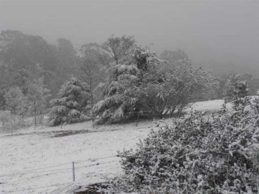 Springmead Rustic Cabin, Rydal, NSW