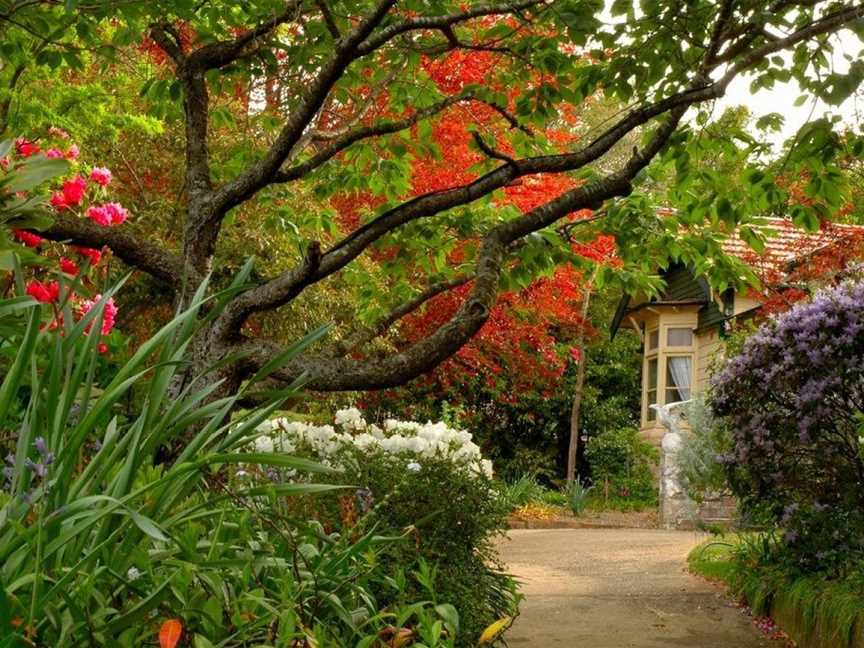 BROOMELEA & BREAKFAST, Leura, NSW