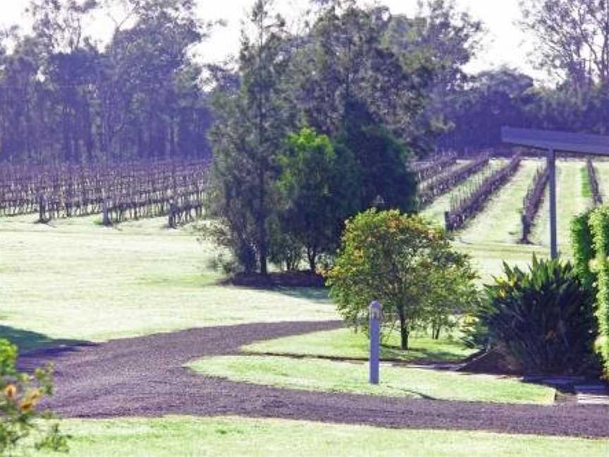 Adina Vineyard, Lovedale, NSW