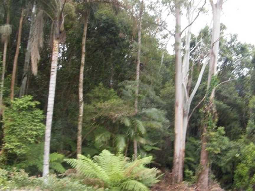 Mount Browne Cottage, Karangi, NSW