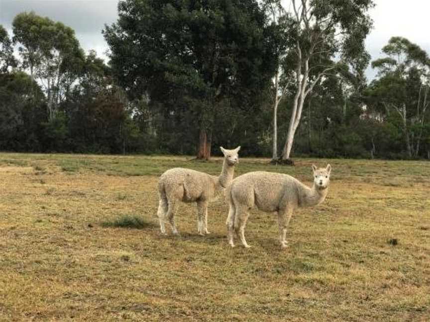 The Woods Farm Jervis Bay, Tomerong, NSW