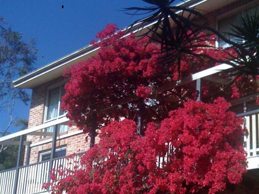 Linley House, Linley Point, NSW