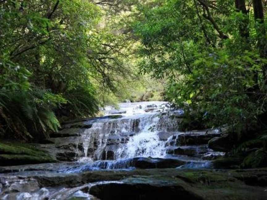 Head For The Hills At Charming Mountain Apartment, Katoomba, NSW