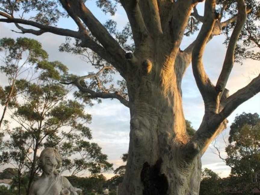 The Tree Motel, Narooma, NSW