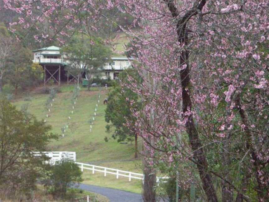 Goldie's Place Rainforest Retreat B & B, Copeland, NSW