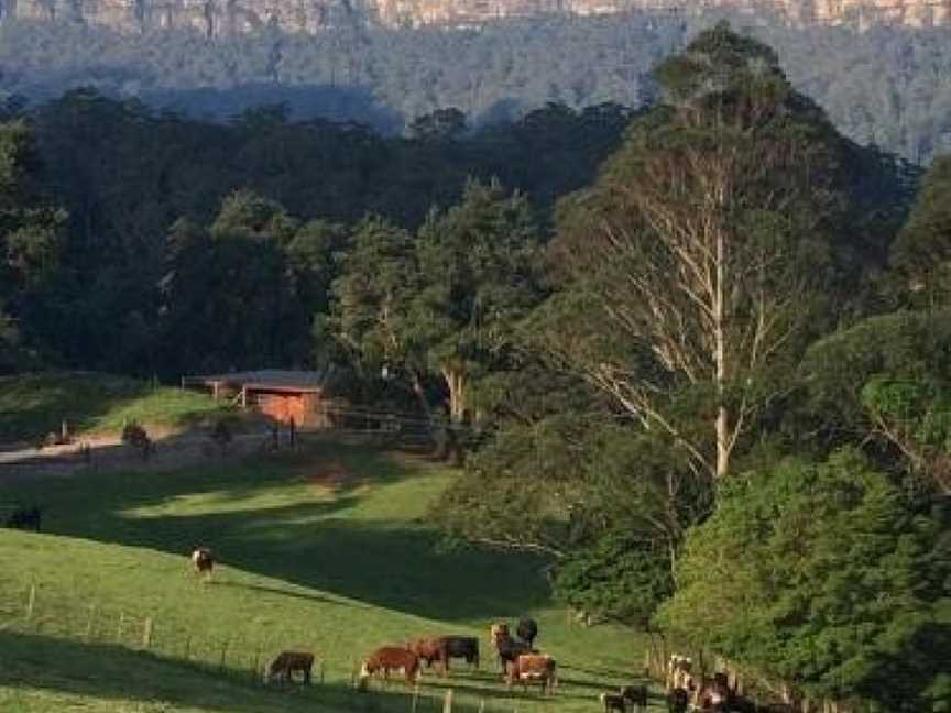 Amaroo Valley Springs, Kangaroo Valley, NSW