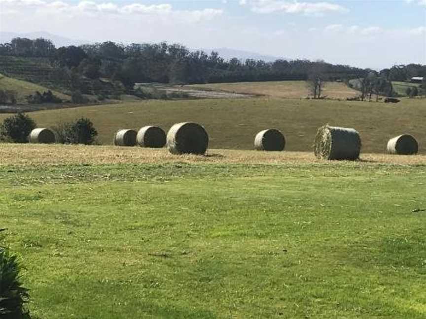 Windrush BnB - Comboyne Australia, Comboyne, NSW