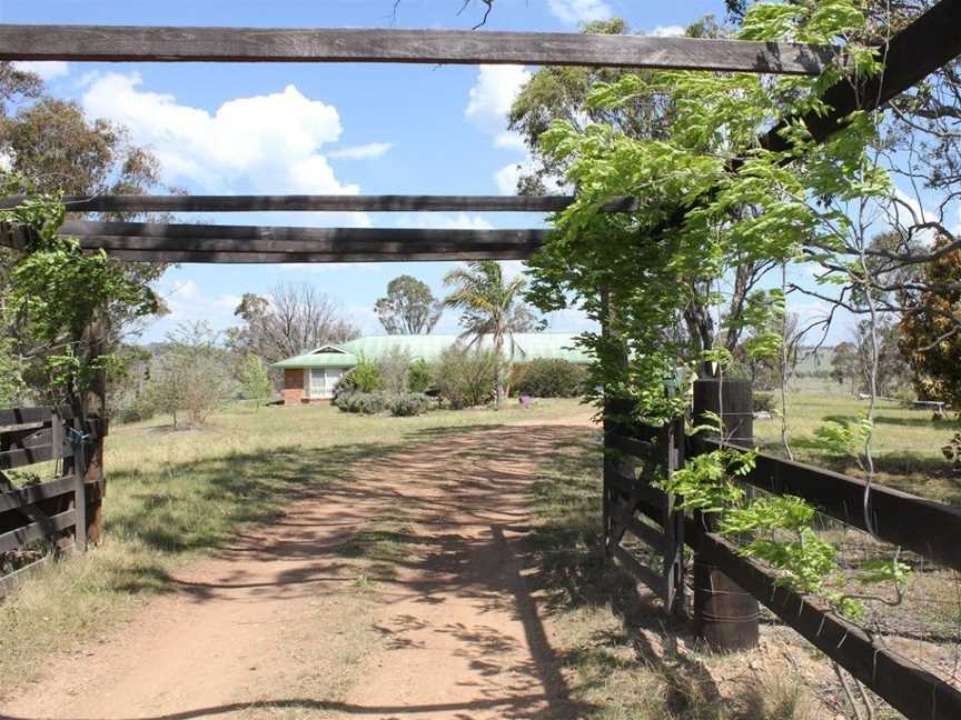 Waterfall Way Accommodation, Wollomombi, NSW