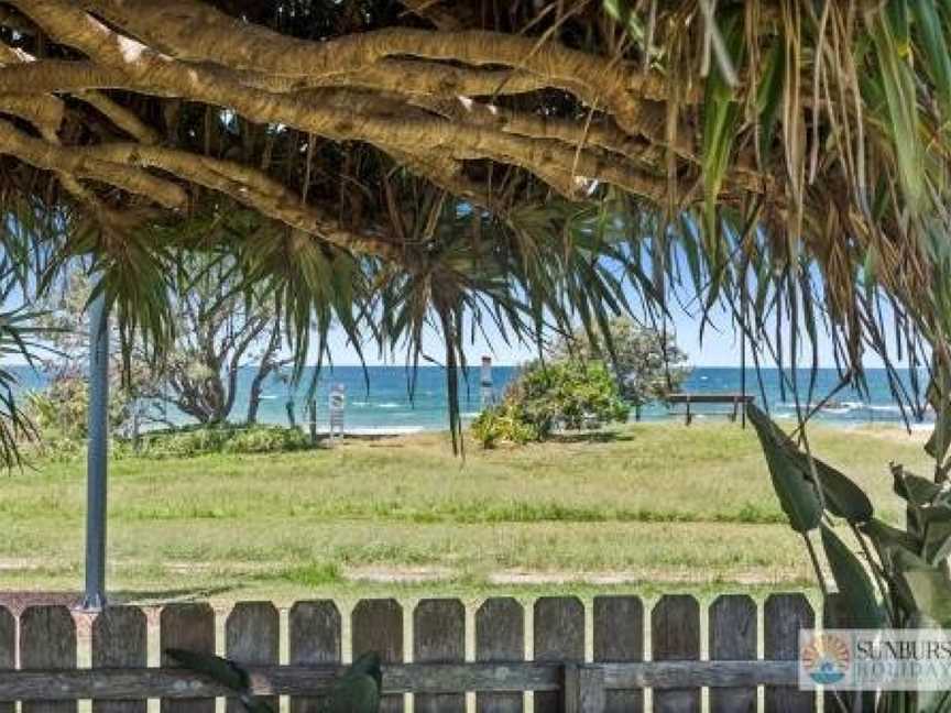 Pandanus on Emerald, Emerald Beach, NSW