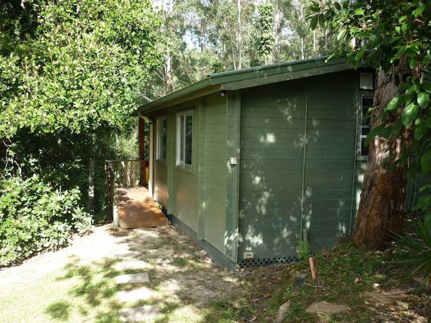 Mt Warning Rainforest Park, Mount Warning, NSW